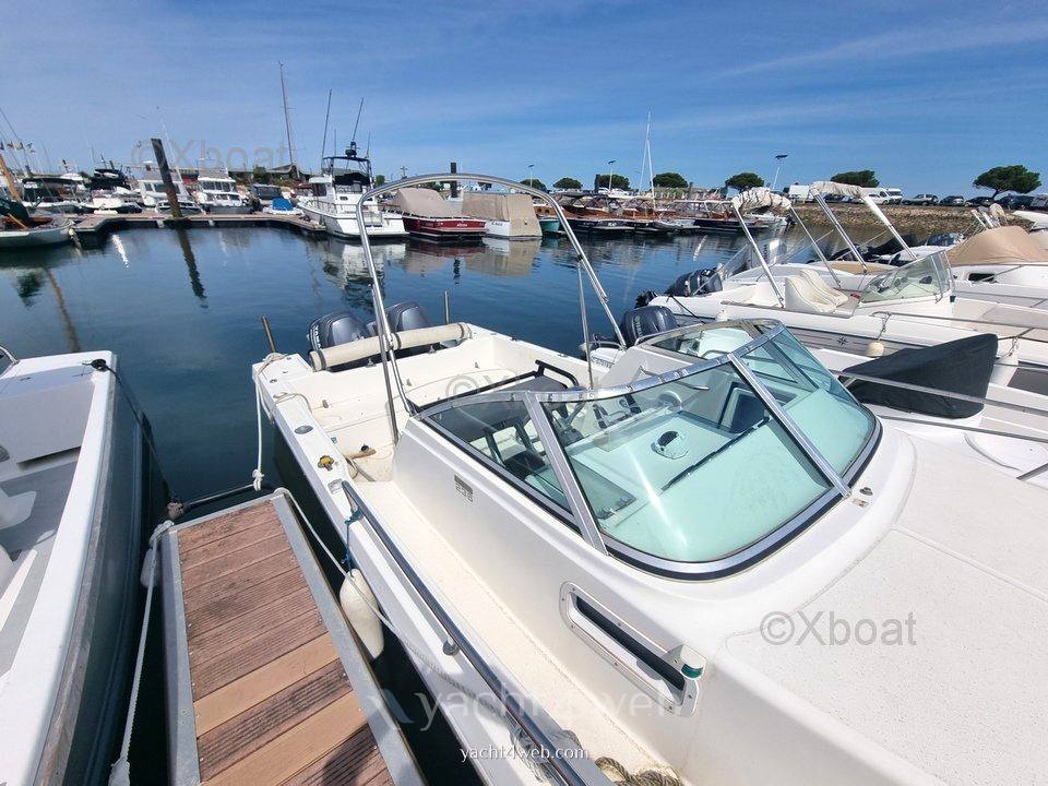 Kelt White shark 236 occasion