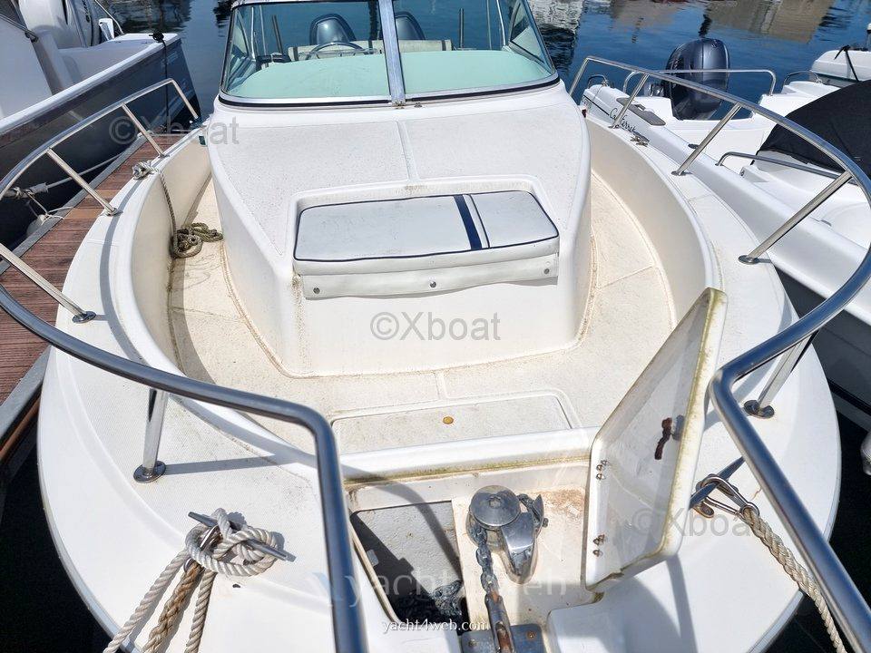 Kelt White shark 236 Photo