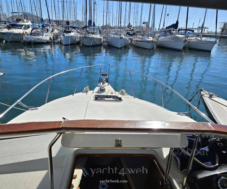 Astillero rico Bayliner ciera costero 0