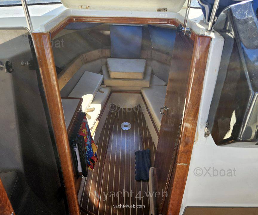 Astillero rico Bayliner ciera costero Photo