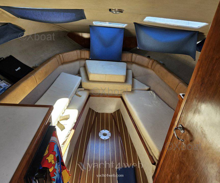 Astillero rico Bayliner ciera costero 