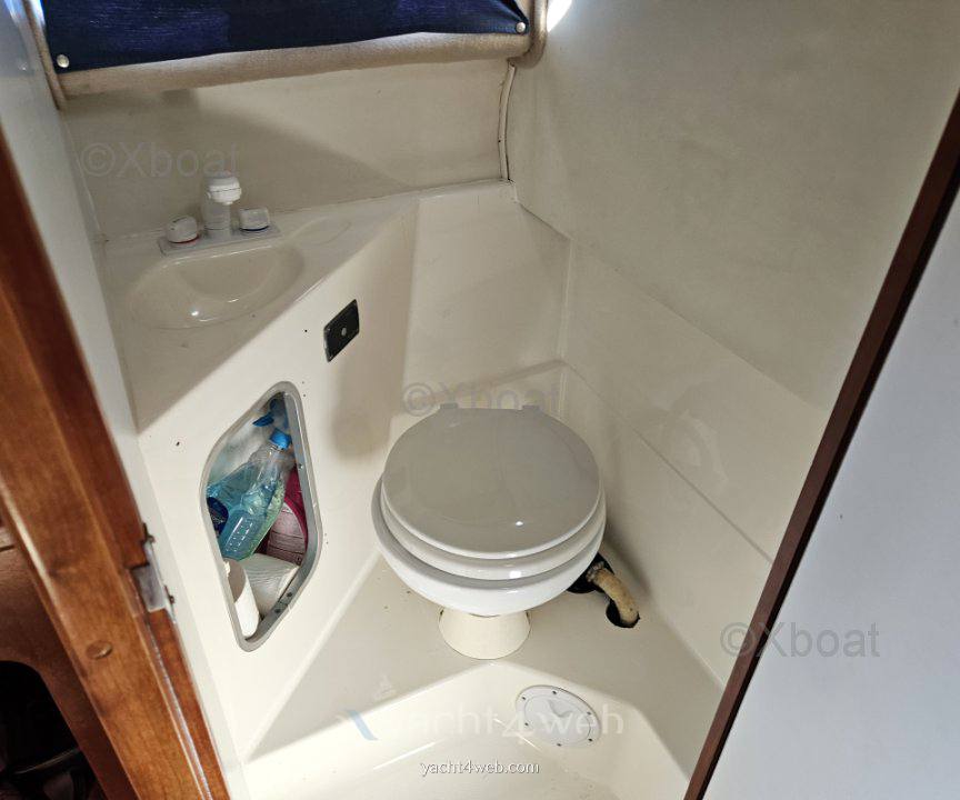 Astillero rico Bayliner ciera costero used