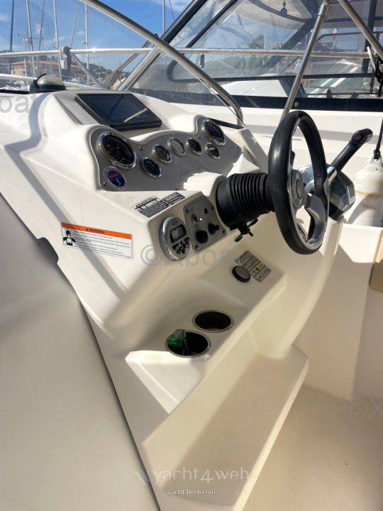 Bayliner Avanti 8