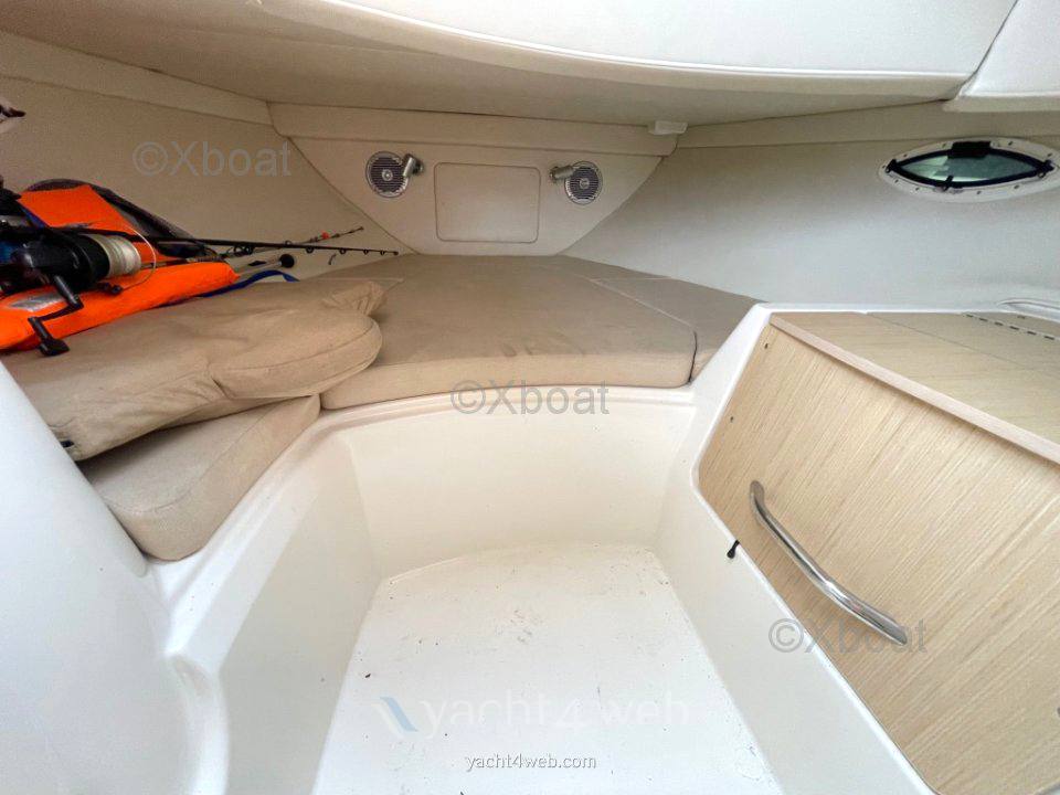 Bayliner Avanti 8