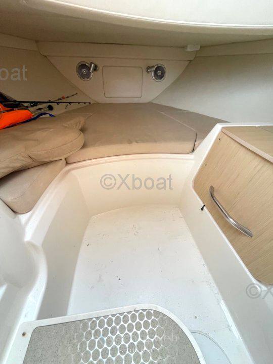 Bayliner Avanti 8