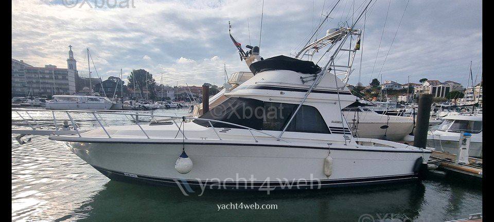 Blackfin 38 convertible