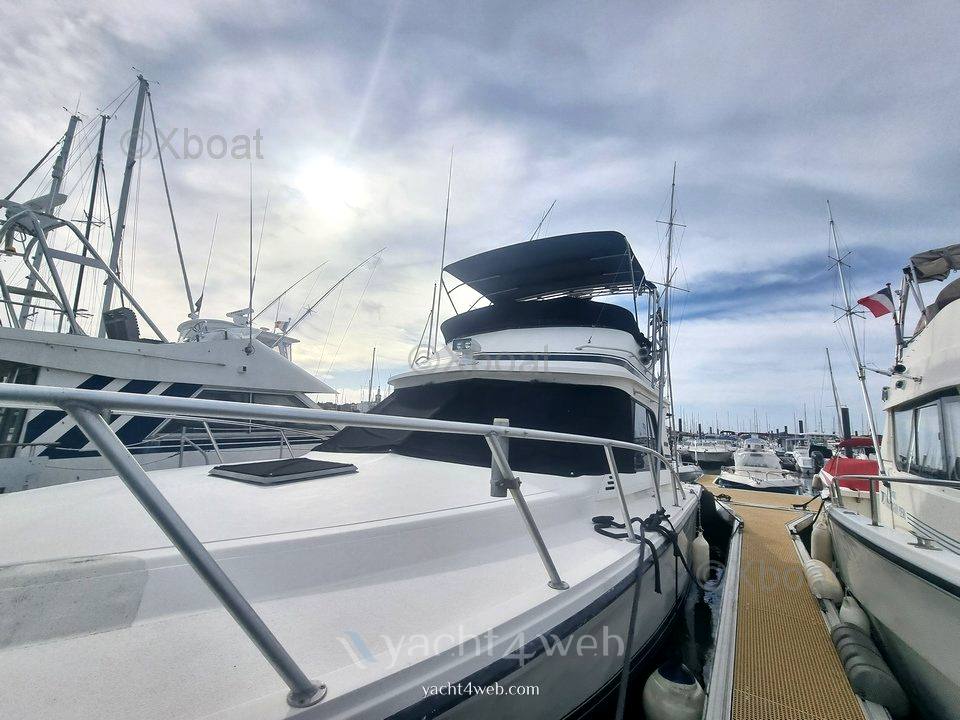 Blackfin 38 convertible