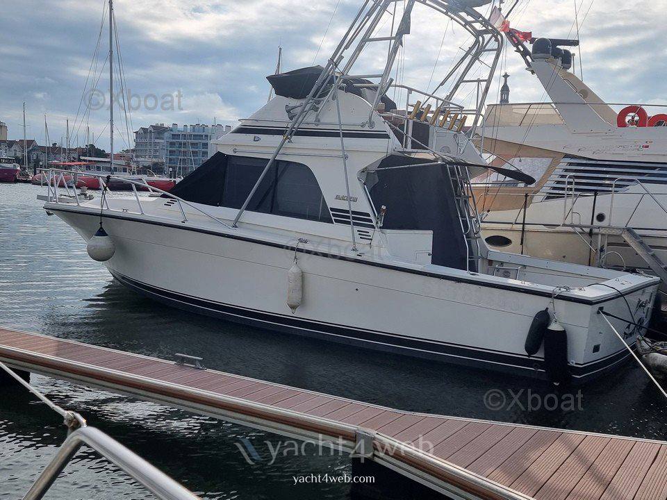 Blackfin 38 convertible