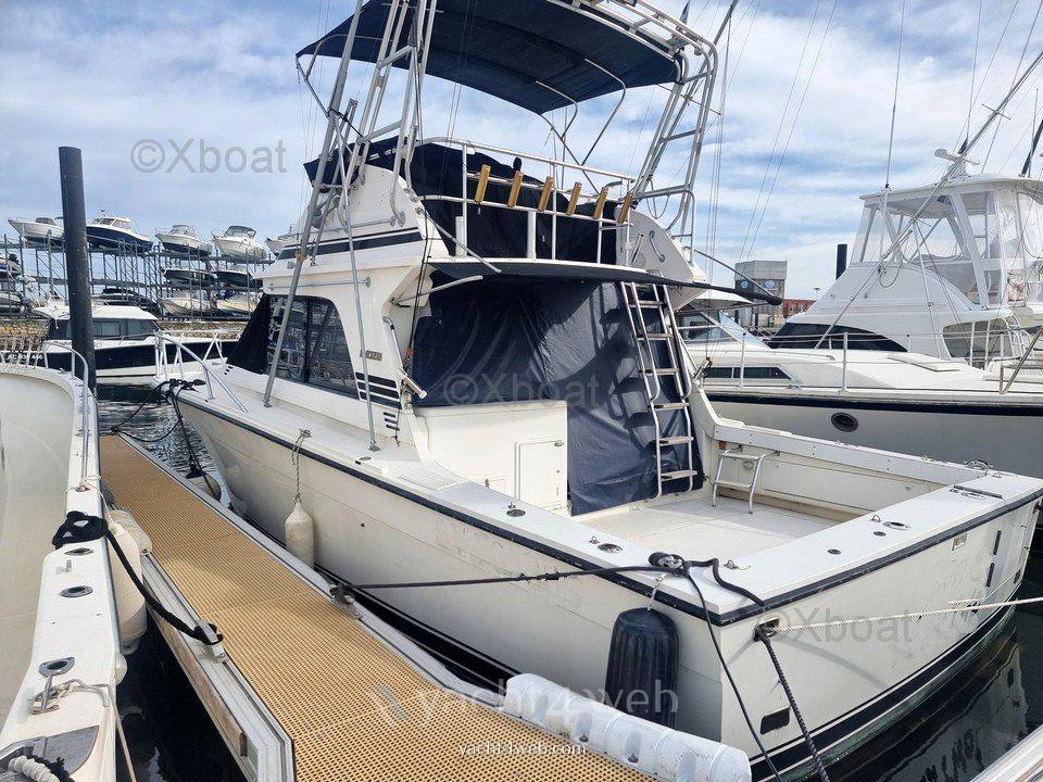 Blackfin 38 convertible