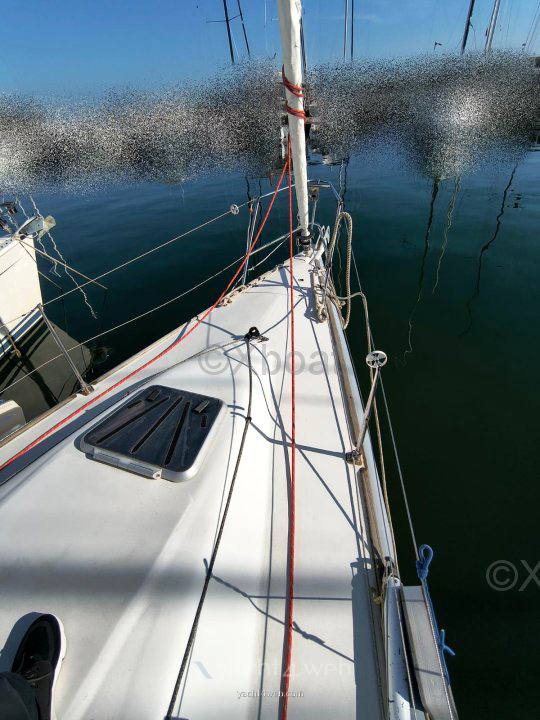 Class yacht Class 33