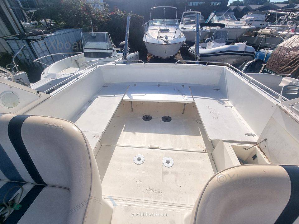Fairline 33 targa