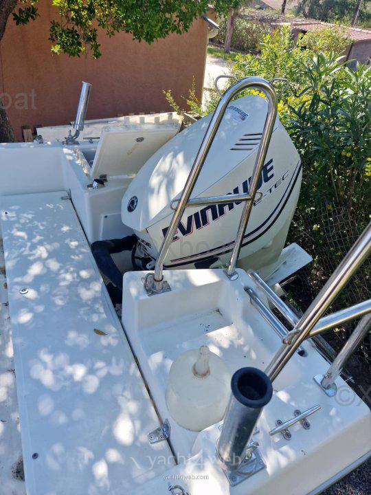 Kelt White shark 175