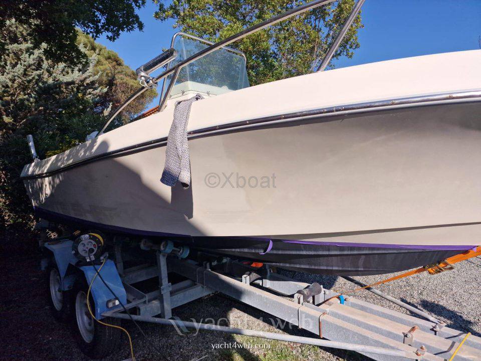 Kelt White shark 175