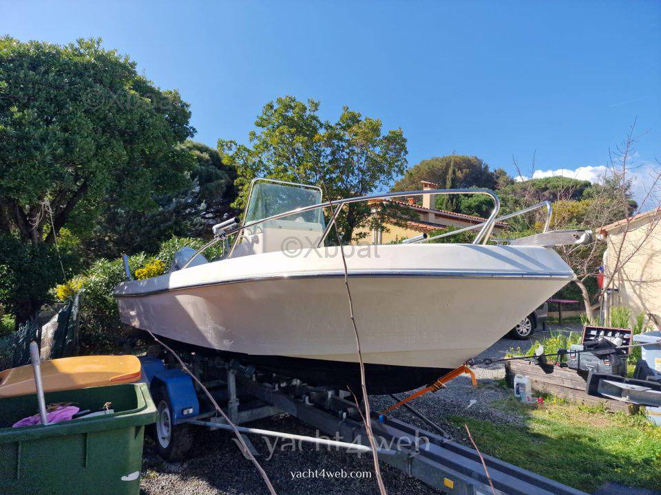Kelt White shark 175