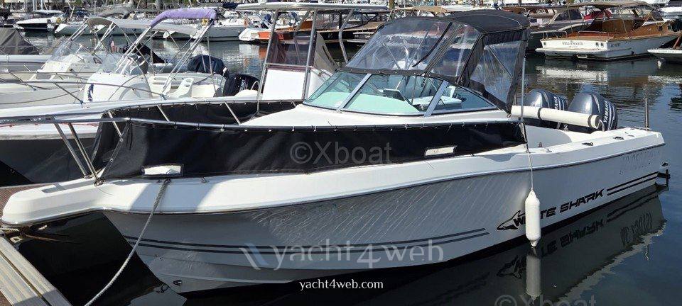 Kelt White shark 236