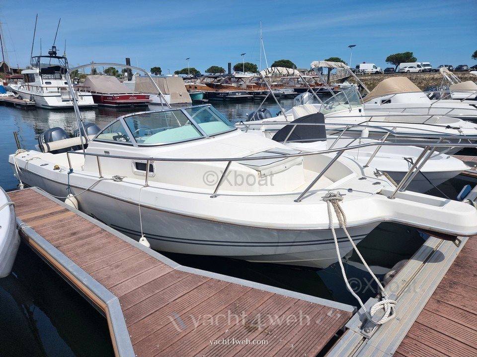 Kelt White shark 236