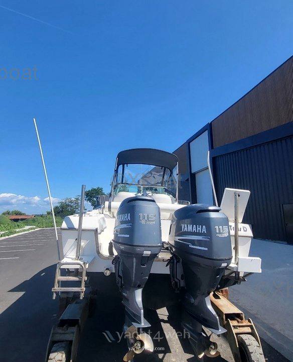 Kelt White shark 236