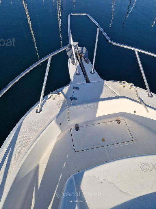 Kelt White shark 237