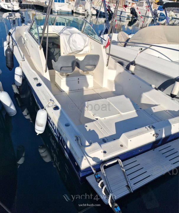 Kelt White shark 237