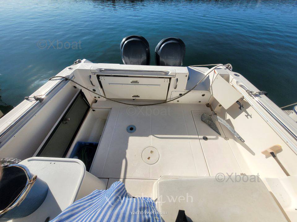 Wellcraft Coastal 290