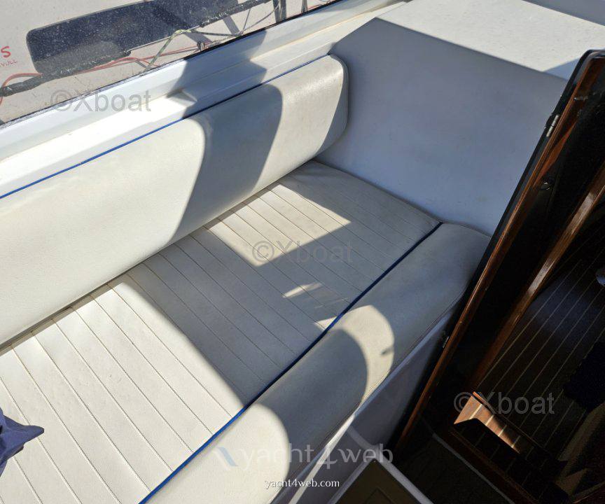 Astillero rico Bayliner ciera costero
