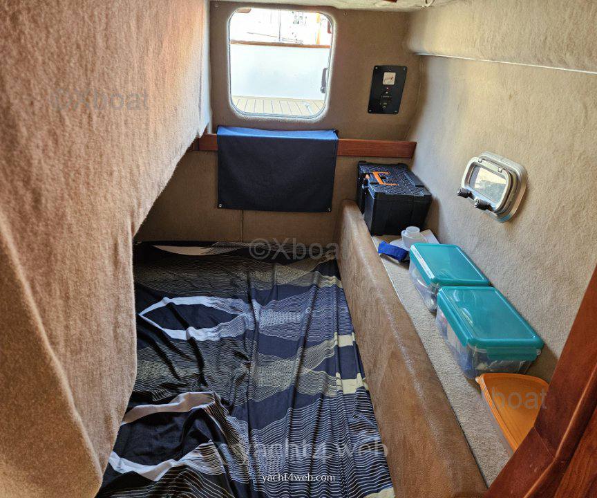 Astillero rico Bayliner ciera costero