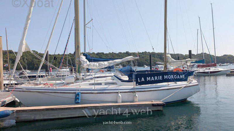 Conyplex Contest 36 cc ketch