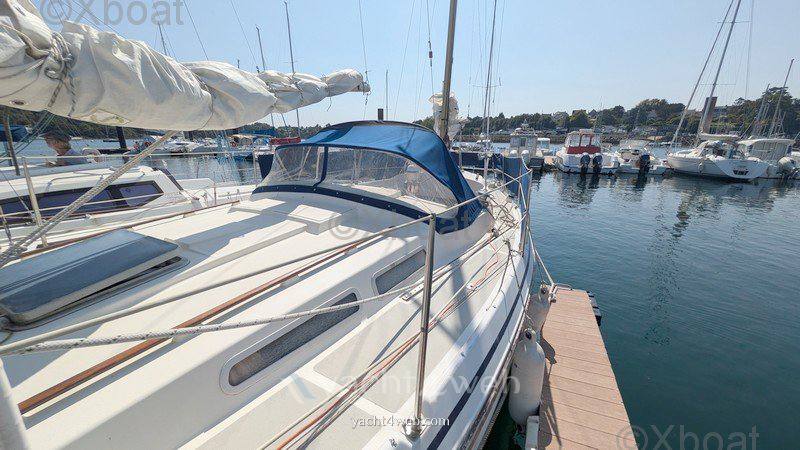 Conyplex Contest 36 cc ketch