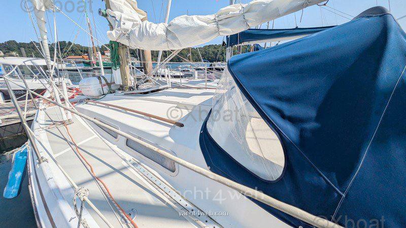 Conyplex Contest 36 cc ketch