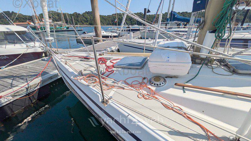 Conyplex Contest 36 cc ketch