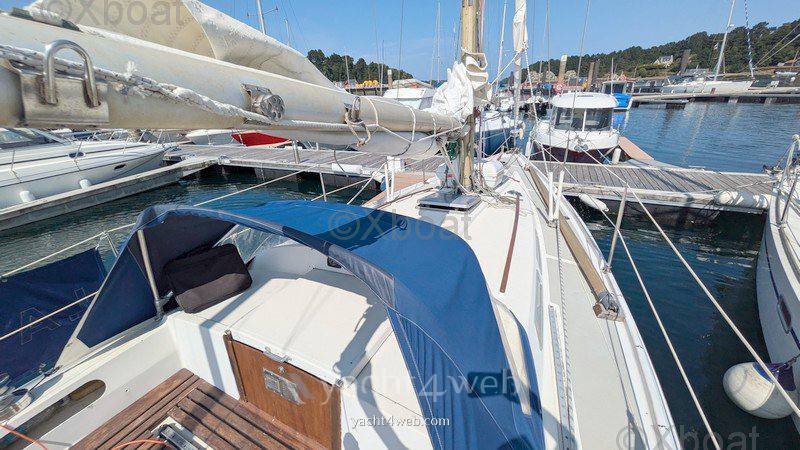 Conyplex Contest 36 cc ketch