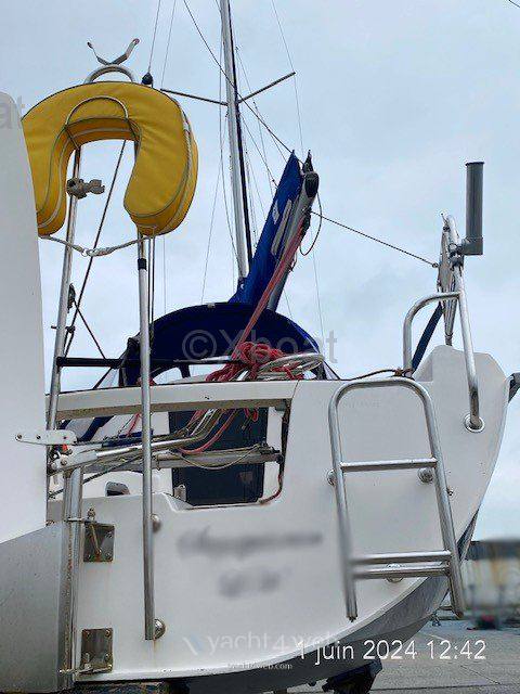Northman Maxus 24 di