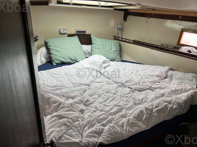 Playvisa Coronado 35 cc