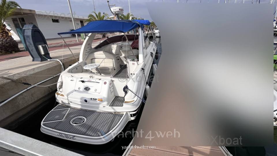 Sea ray 315 sundancer