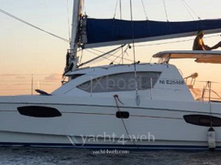 Leopard 38