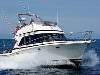 Riviera 33 flybridge