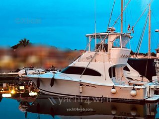 Luhrs 36 convertible