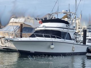 Blackfin 38 convertible