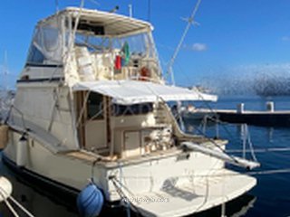 Hatteras 51