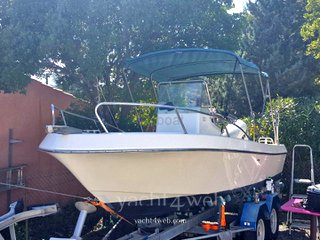Kelt White shark 175