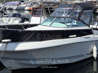 Kelt White shark 236