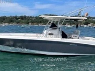Boston whaler 320 outrage