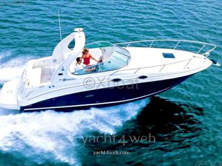 Sea ray 315 sundancer