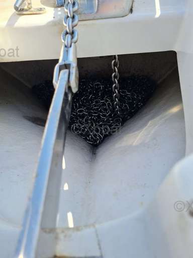 White shark White shark 285