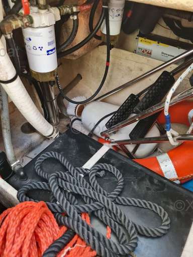 White shark White shark 285