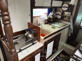 Playvisa Coronado 35 cc - Photo 6