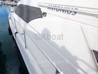 Mochi craft Mochi 43 fly от 1992