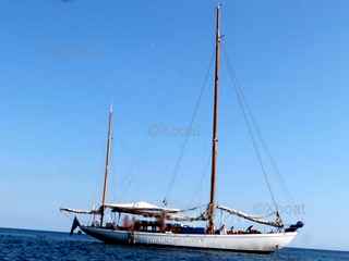 Arnis schlei Yawl classic matthiesen paulsen от 1954