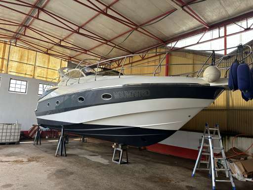 Salpa laver Salpa laver 38.5