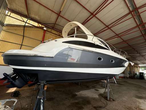 Salpa laver Salpa laver 38.5